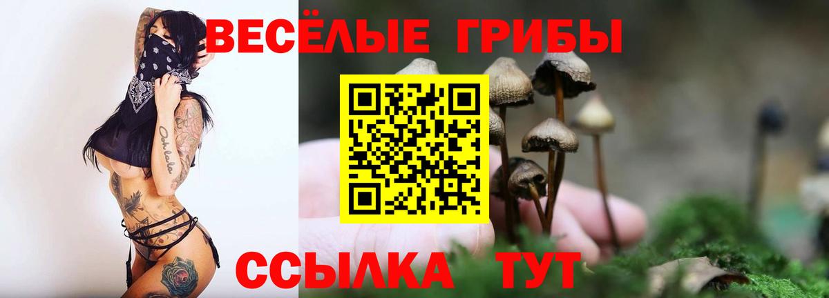 Псилоцибиновые грибы Psilocybe Волхов